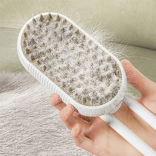Discover the Amazing Cat Steam Brush !